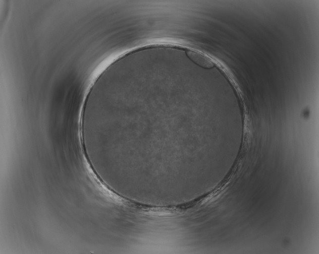 X0000116801199200912181310