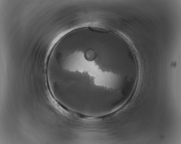 X0000116801200200912181310