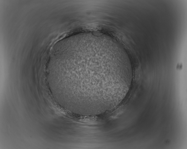 X0000116801201200912181310