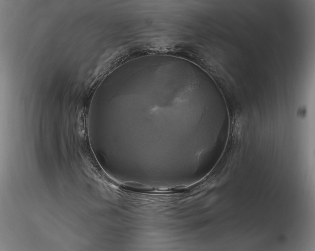 X0000116801202200912181310