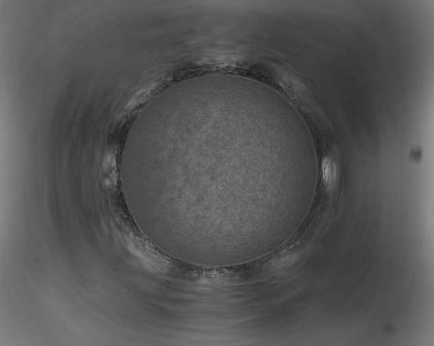 X0000116801203200912181310