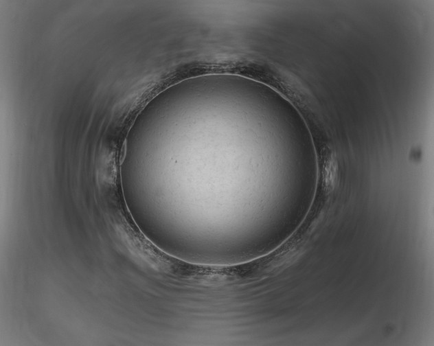 X0000116801204200912181310