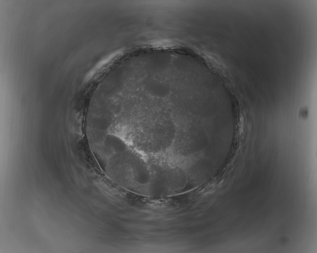 X0000116801205200912181310