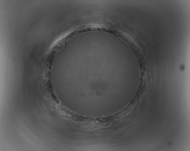 X0000116801207200912181310