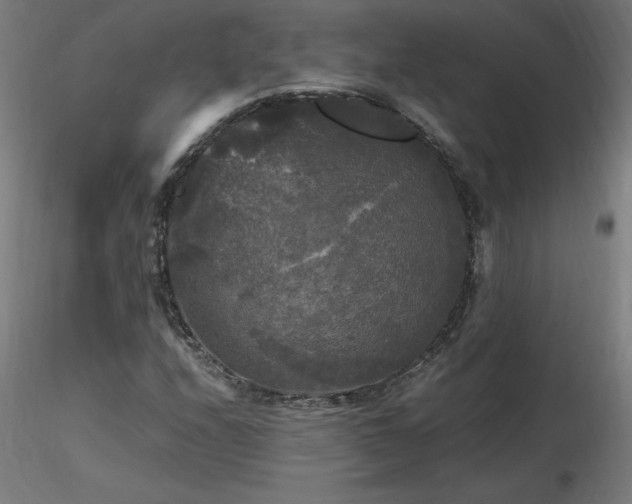 X0000116801208200912181310