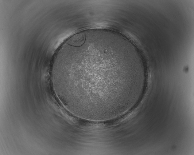 X0000116801210200912181310