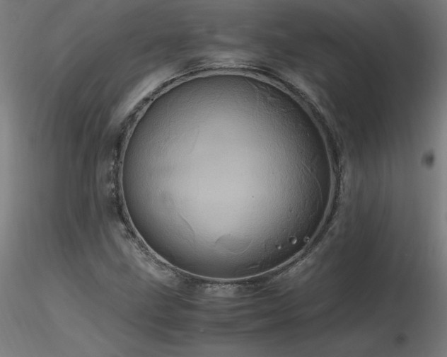X0000116801211200912181310