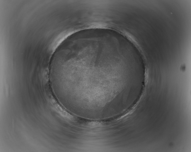 X0000116801212200912181310