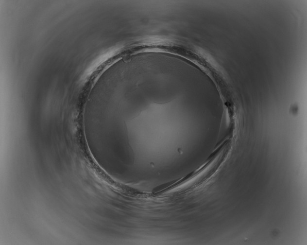 X0000116801213200912181310