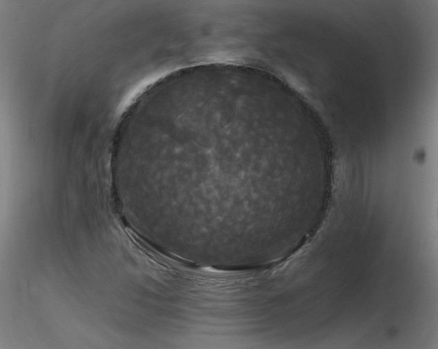 X0000116801214200912181310