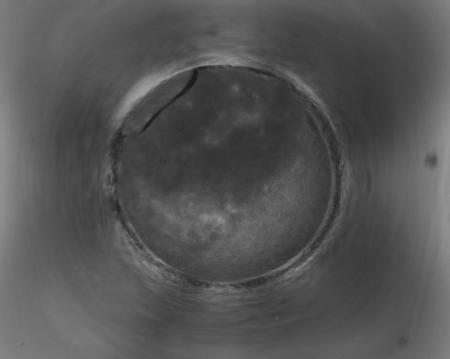 X0000116801215200912181310