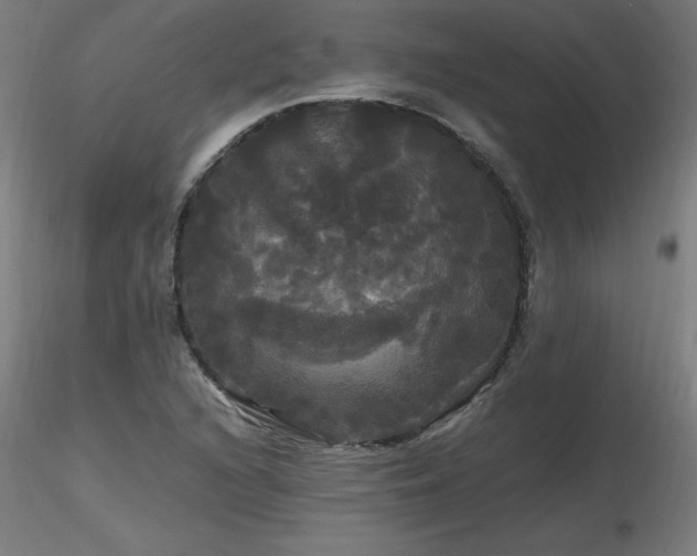 X0000116801216200912181310