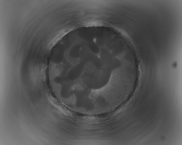 X0000116801217200912181310