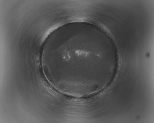 X0000116801218200912181310