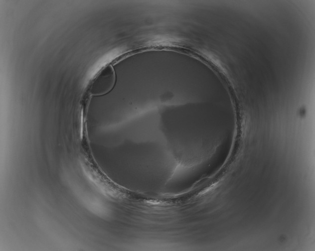X0000116801219200912181310