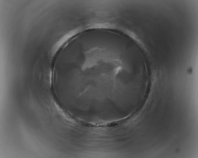 X0000116801221200912181310