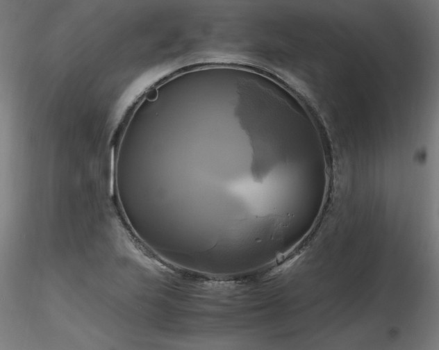 X0000116801223200912181310