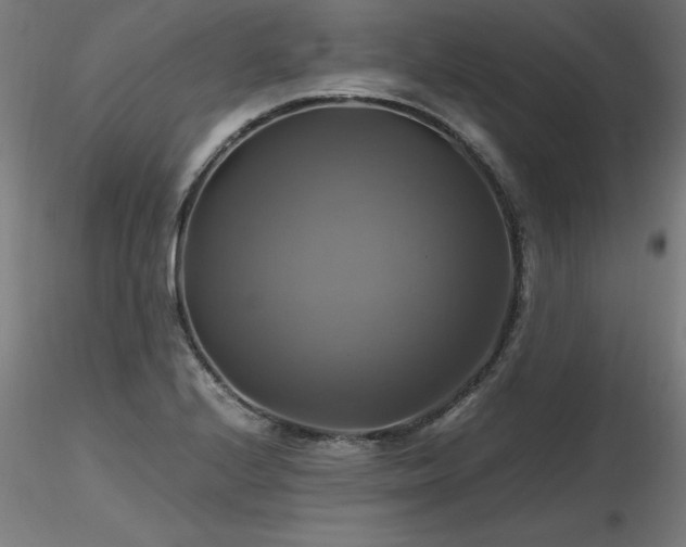 X0000116801224200912181310