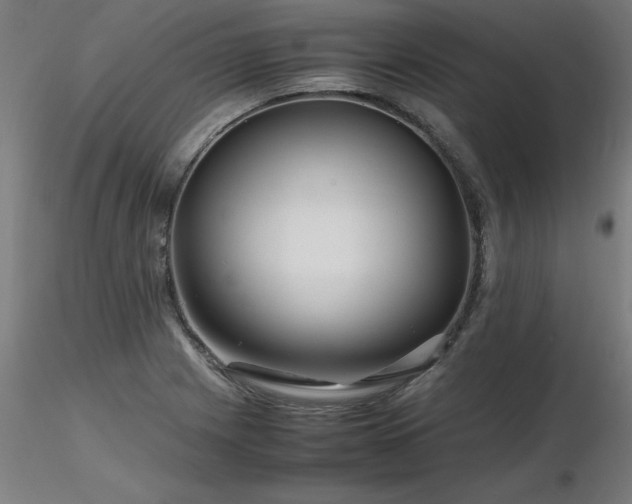 X0000116801225200912181310