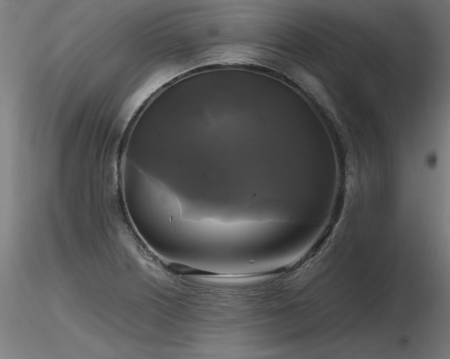 X0000116801226200912181310