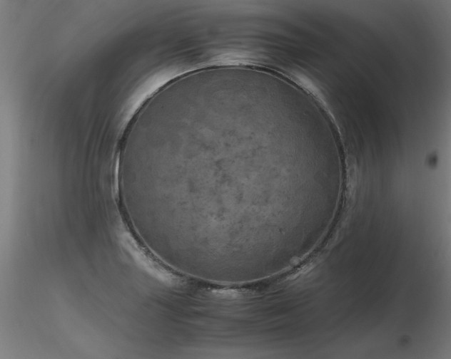 X0000116801227200912181310