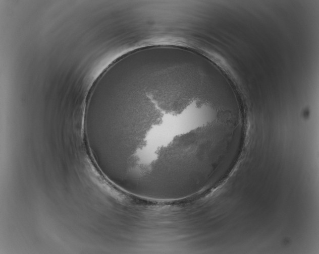 X0000116801228200912181310
