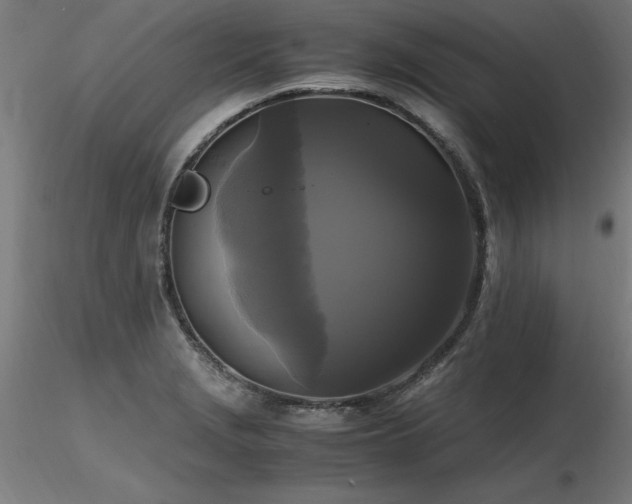 X0000116801229200912181310