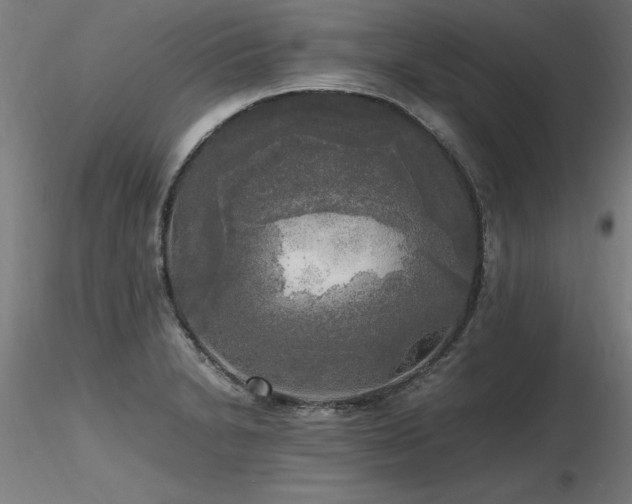 X0000116801230200912181310