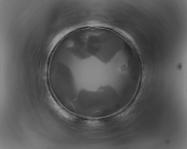 X0000116801231200912181310