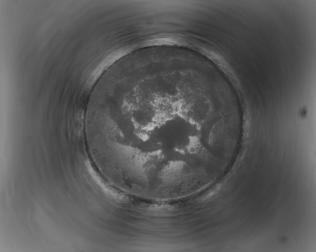 X0000116801233200912181310