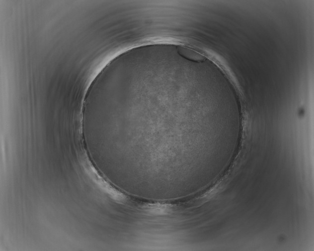 X0000116801236200912181310