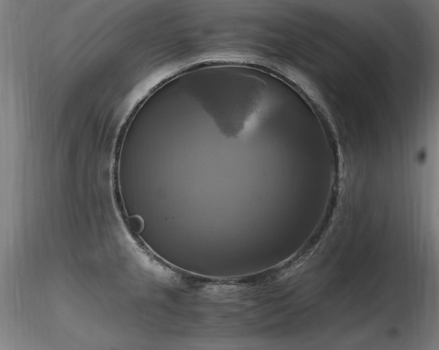 X0000116801237200912181310