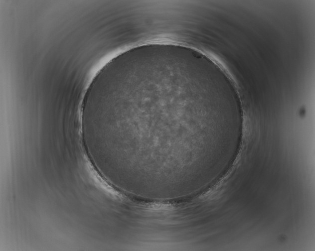 X0000116801238200912181310