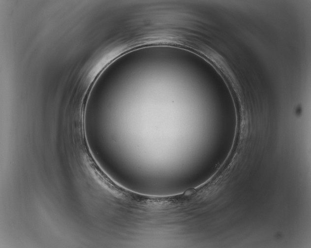 X0000116801242200912181310