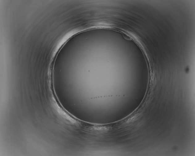 X0000116801243200912181310
