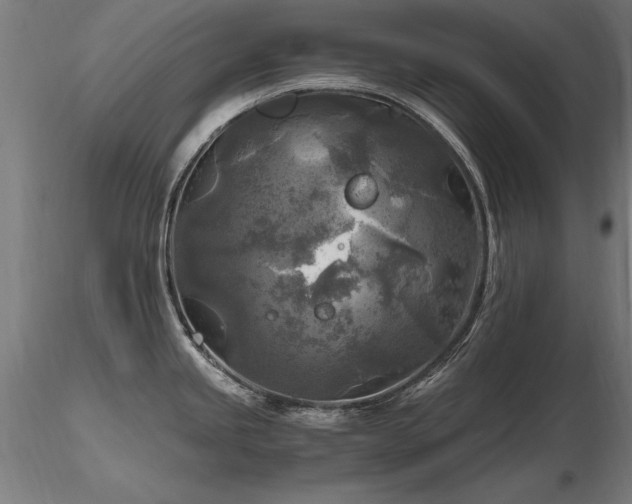 X0000116801245200912181310