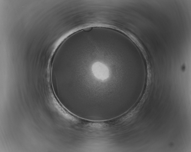 X0000116801246200912181310