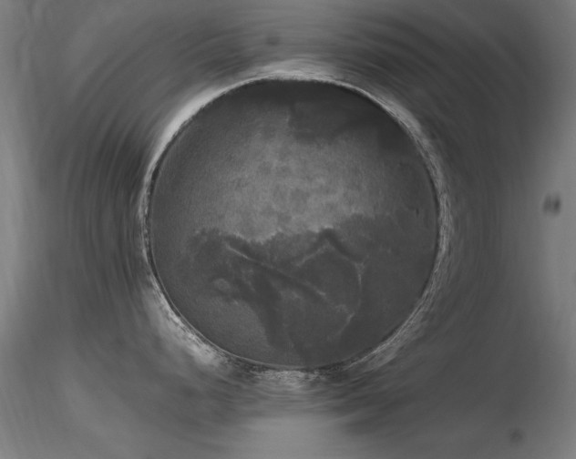 X0000116801248200912181310