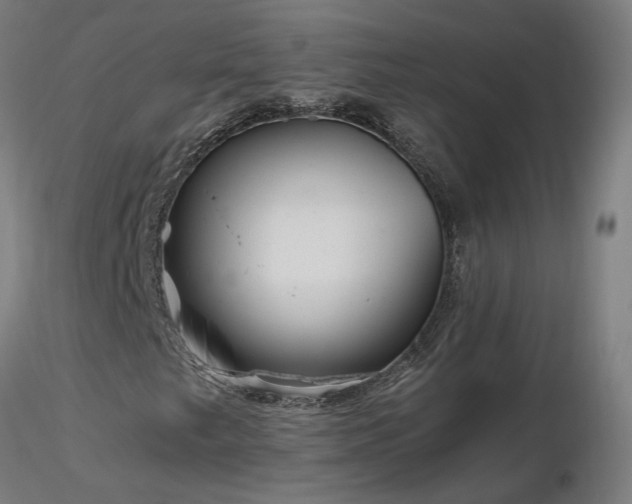 X0000116801249200912181310