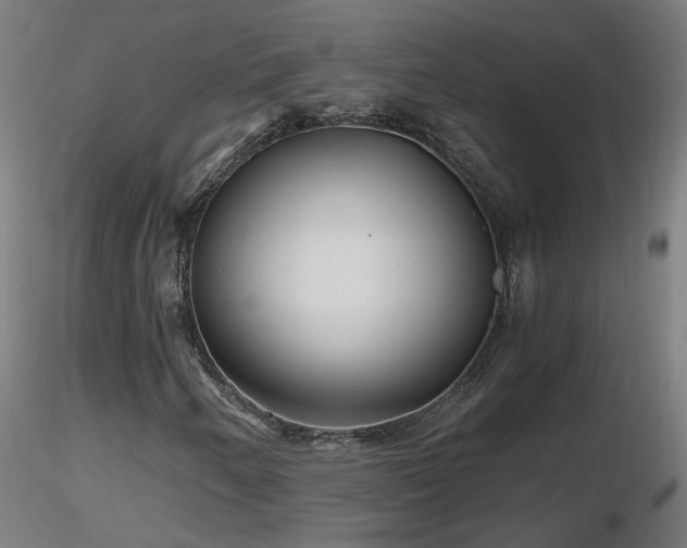 X0000116801250200912181310