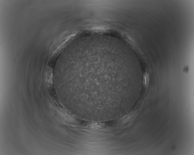 X0000116801251200912181310