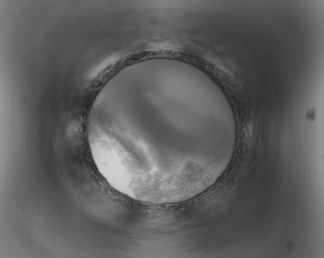 X0000116801254200912181309