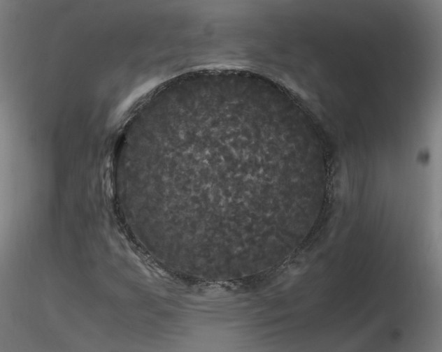X0000116801255200912181309