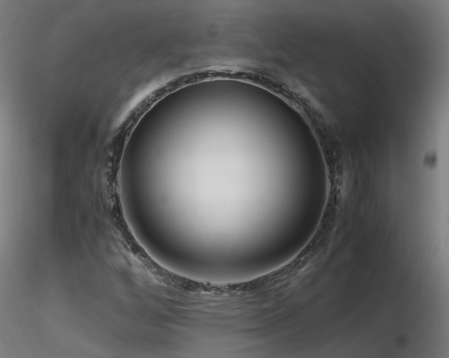 X0000116801256200912181309