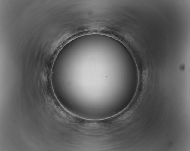 X0000116801257200912181309