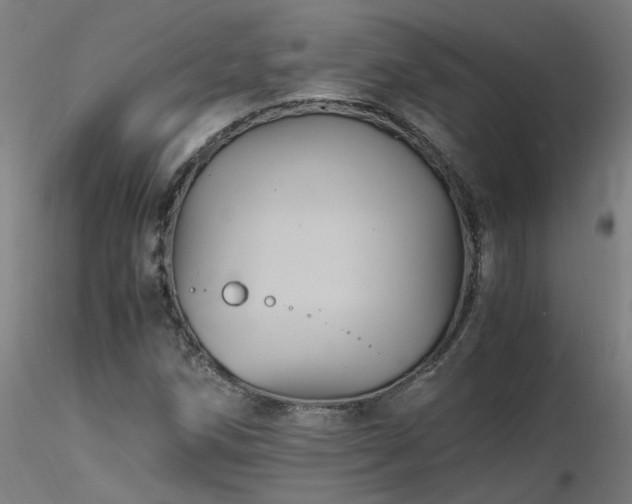 X0000116801258200912181309