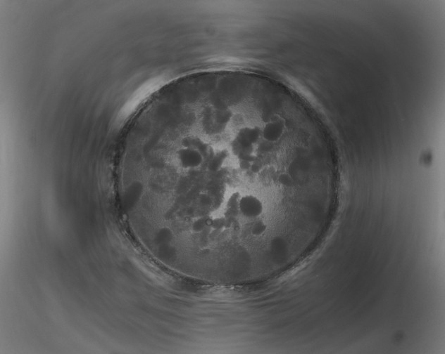 X0000116801259200912181309