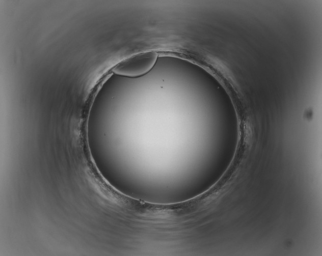 X0000116801260200912181309