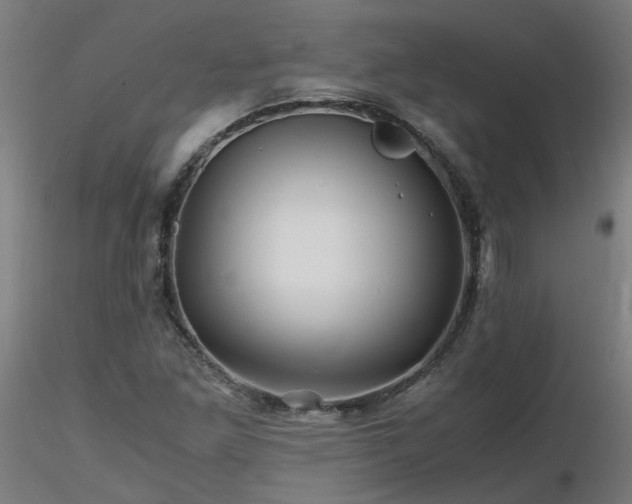X0000116801261200912181309
