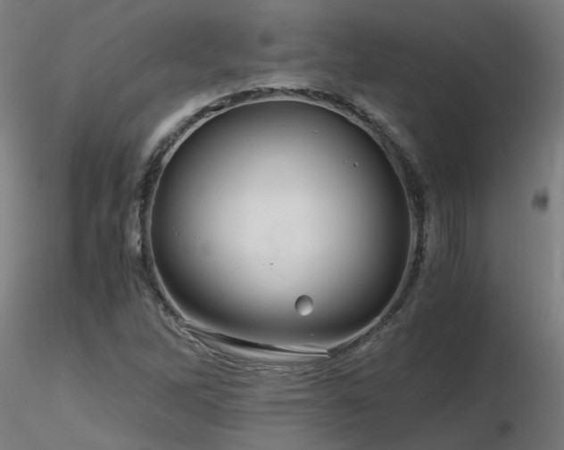 X0000116801262200912181309